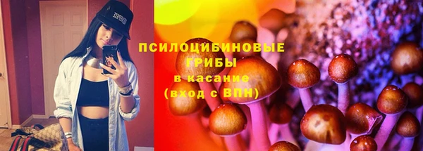 а пвп мука Горно-Алтайск