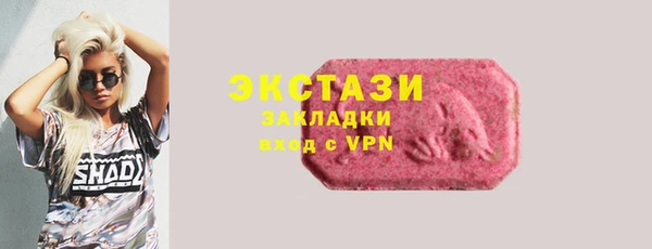 гашик Гусь-Хрустальный