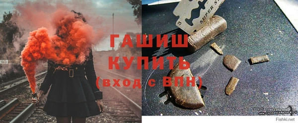 гашик Гусь-Хрустальный