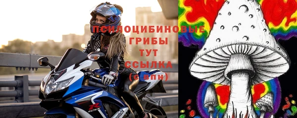 меф Горняк