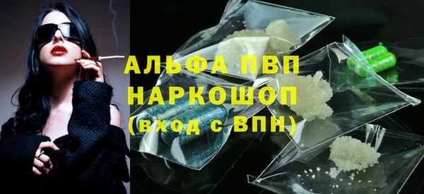 гашик Гусь-Хрустальный