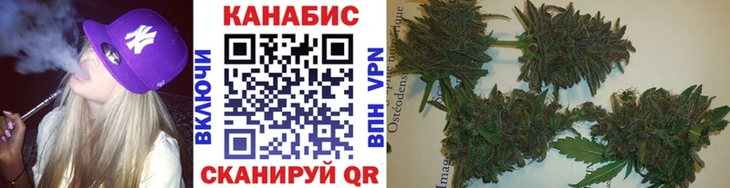 Конопля планчик Курильск